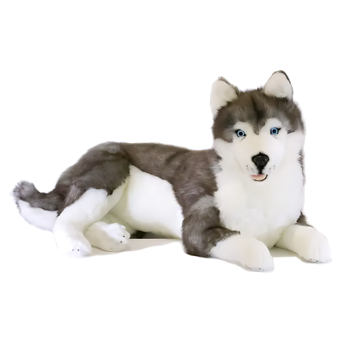 Jumbo Jett Husky Dog Teddy Bear Soft Toy The Teddy Bear Cupboard