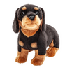 Louie the Dachshund Puppy Dog Teddy Bear - Soft Toy