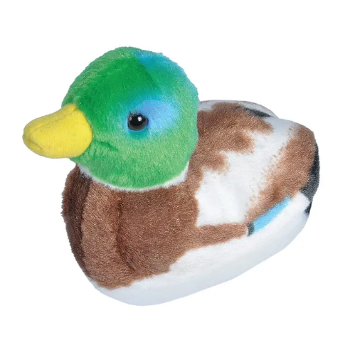 Mallard Duck with Sound Teddy Bear - Soft Toy